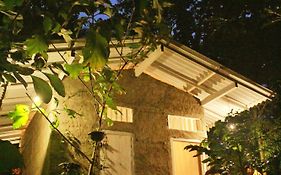 Linu Homestay